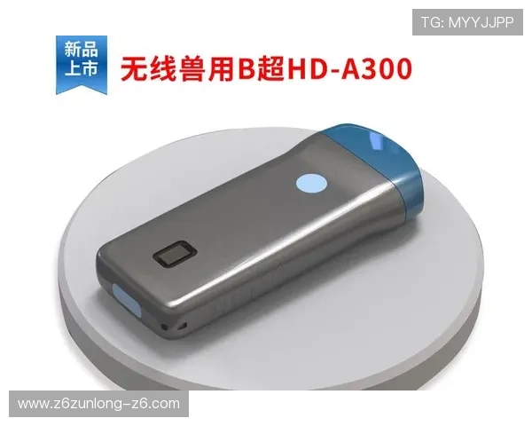 尊龙凯时官方平台如何保障玩家资金安全与个人信息保护措施解析